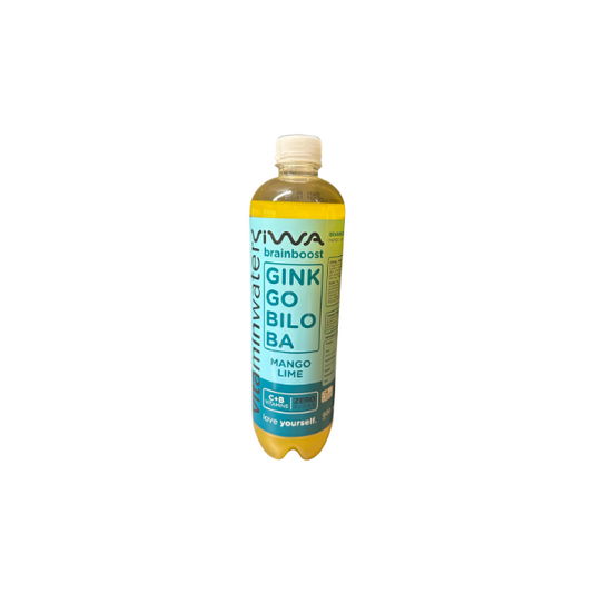 VIWA Vitaminwater brainboost Mango Lime 600ml inkl. Pfand